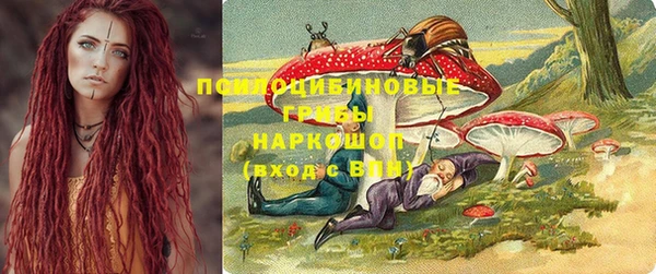 apvp Михайлов