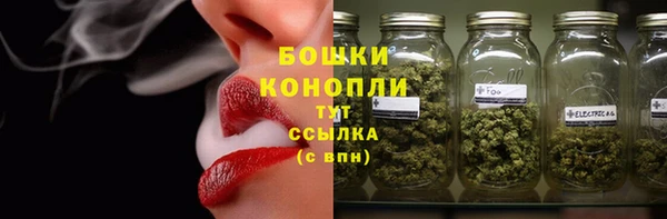 apvp Михайлов