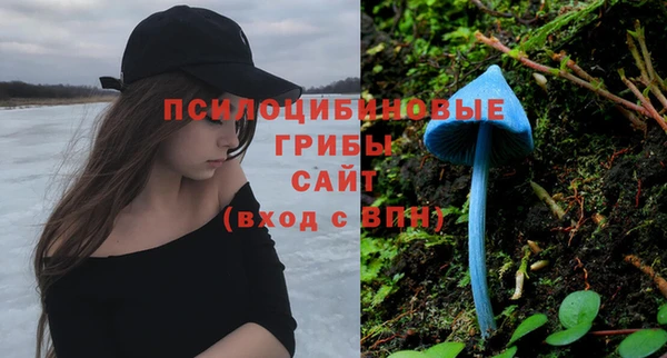 apvp Михайлов