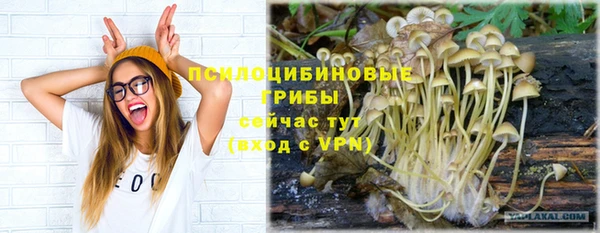 apvp Михайлов