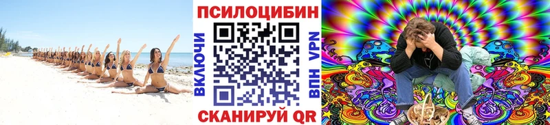 Псилоцибиновые грибы прущие грибы Норильск