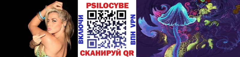 Купить закладки  Норильск  Псилоцибиновые грибы Magic Shrooms 